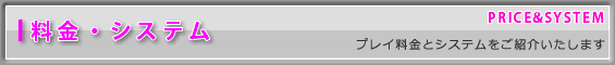 料金・システム－プレイ料金とシステムをご案内いたします