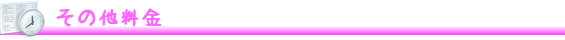 その他料金