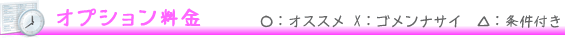 オプション料金－○：オススメ　×：ゴメンナサイ　△：条件付き